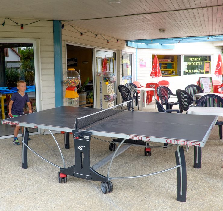 Ping-pong Table