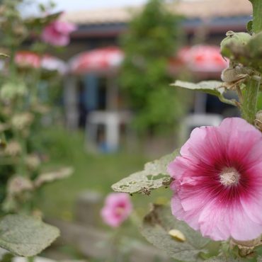 Galerie Photo camping Les Tamaris