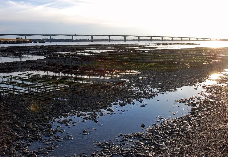 peche ile oleron