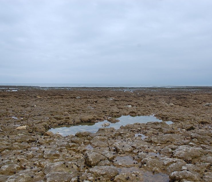 pecher sur ile oleron