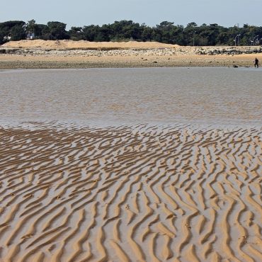 peche à pied ile oléron