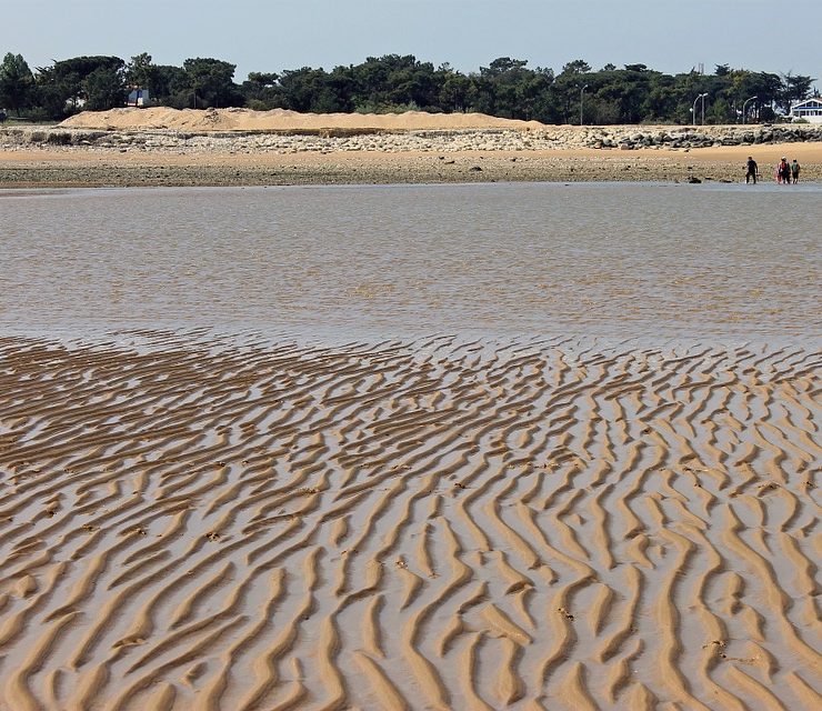 peche à pied ile oléron