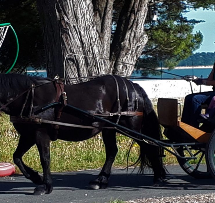 camping equicie