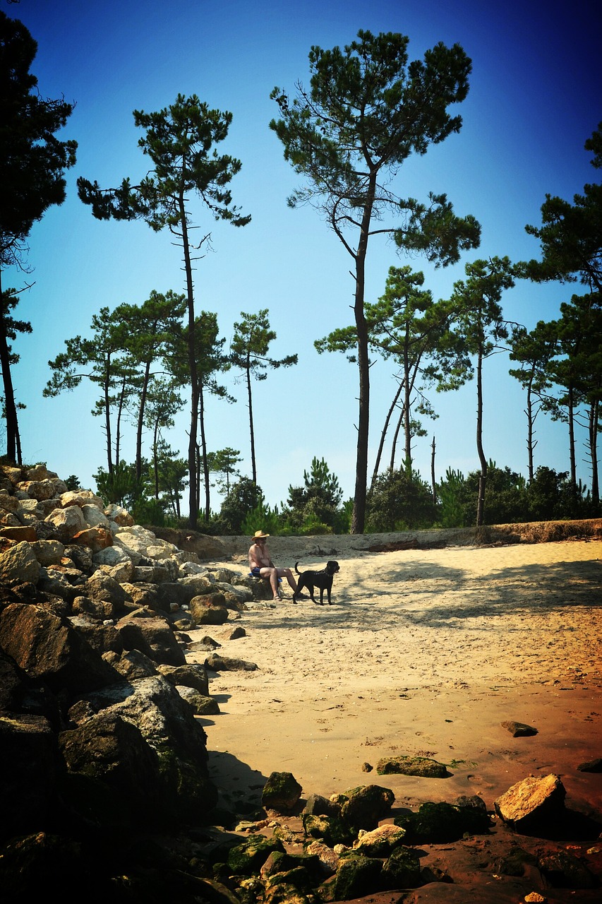 plage oléron touristes avec chien