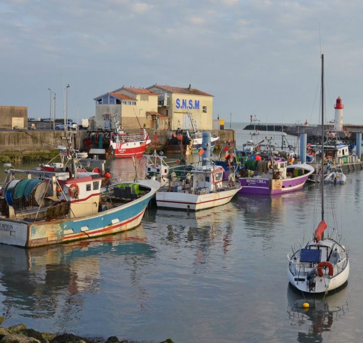 port de la cotinière ile d'Oleron