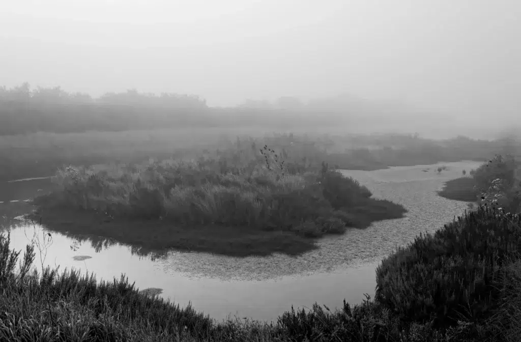 AdobeStock 190276508