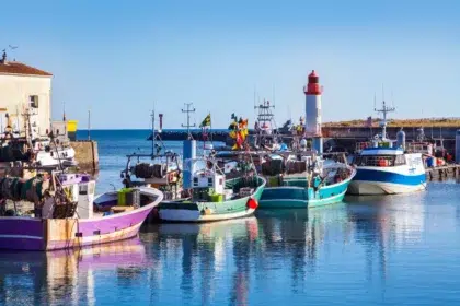 AdobeStock 230310425