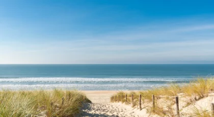 Accueil 3 AdobeStock 265802820 1