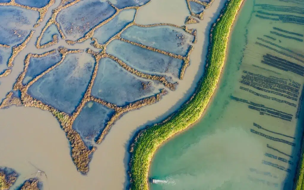 AdobeStock 418375220