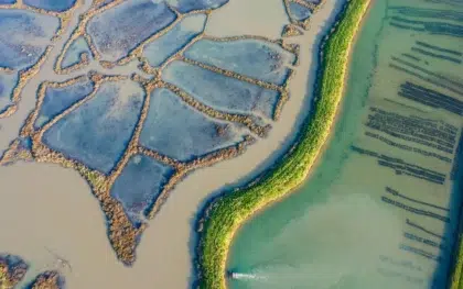 AdobeStock 418375220