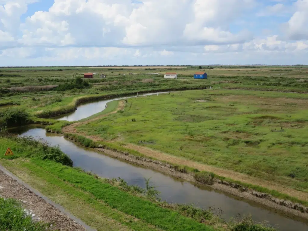 AdobeStock 449513644