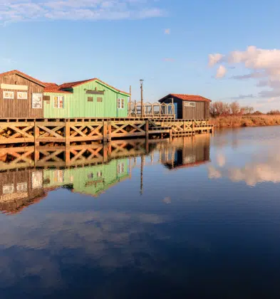 Accueil 19 AdobeStock 802610963 6