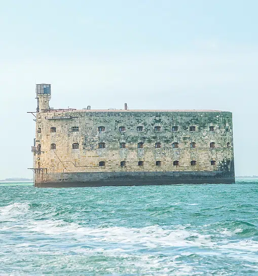 AdobeStock 802610963 7