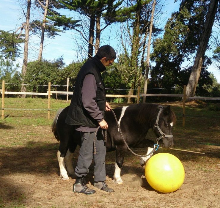 ballon 1024x1024 740x700 1