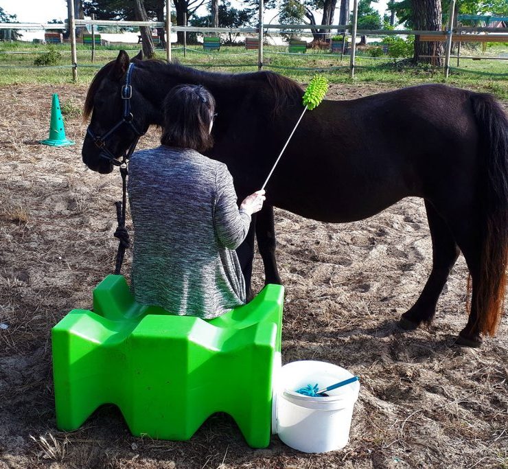 brosse telescopique 1024x683 740x683 1