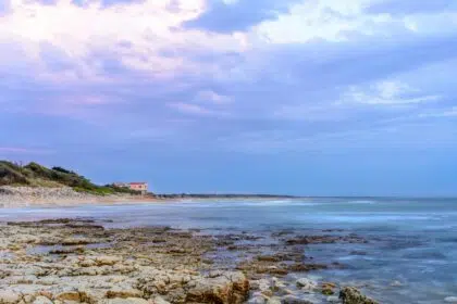 Accueil 2 oleron cotiniere