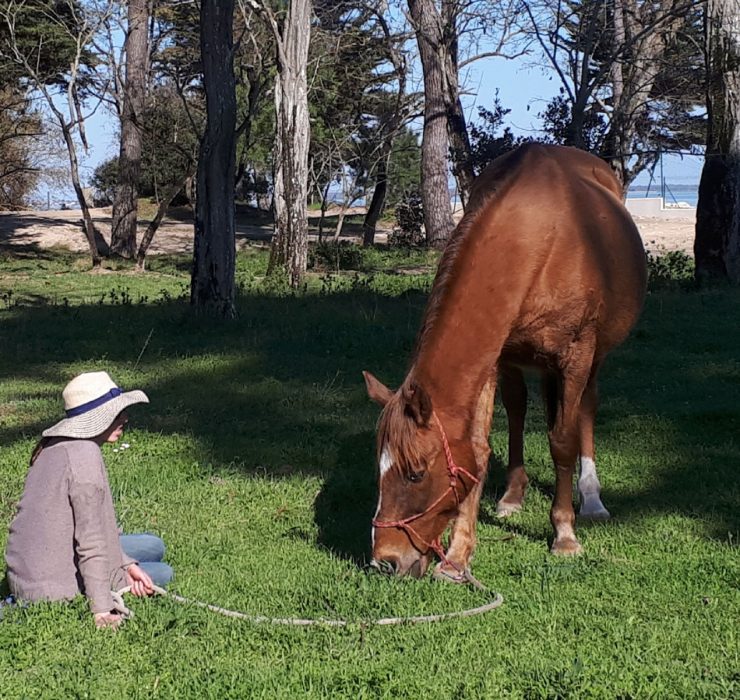 relax havane 740x700 1