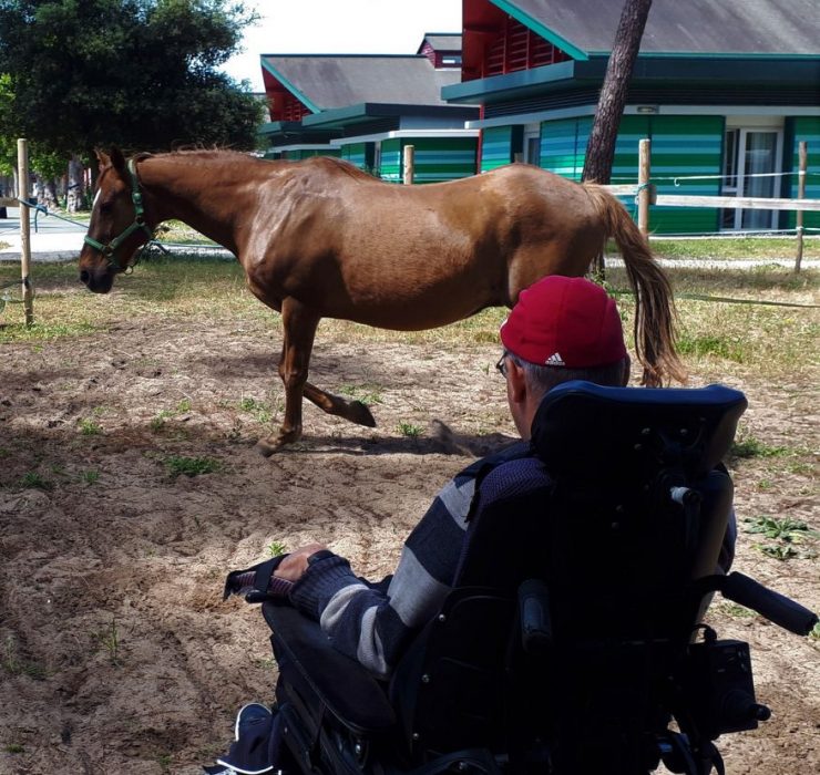 trot en liberte 876x1024 740x700 1