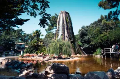 Alentours 9 zoo palmyre